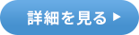 詳細を見る